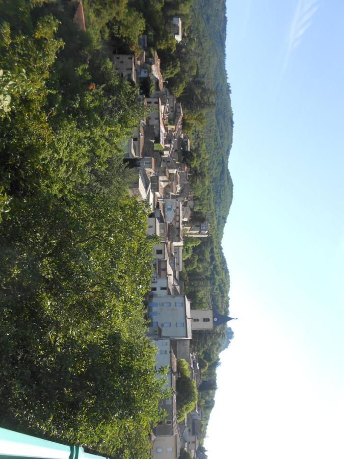 Le Merlanson Chambres D'Hotes Bez-et-Esparon Exterior photo