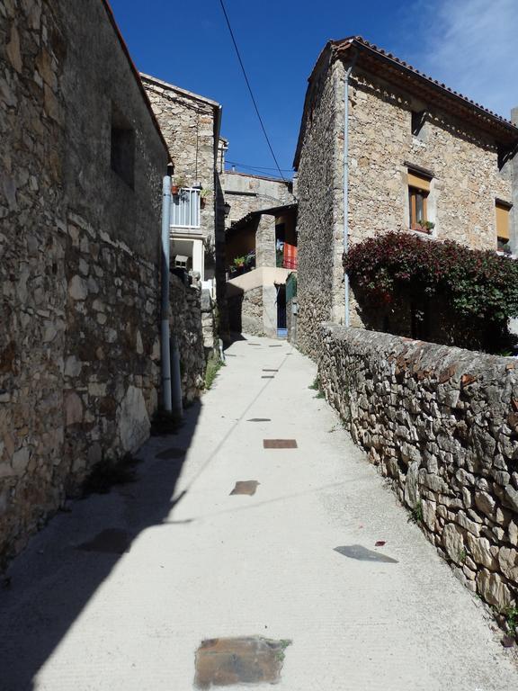 Le Merlanson Chambres D'Hotes Bez-et-Esparon Exterior photo